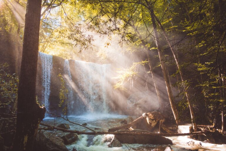 Ohiopyle State Park: Where to Stay, Where to Play, and What to Eat. 5 day Itinerary for Adventurous Families.