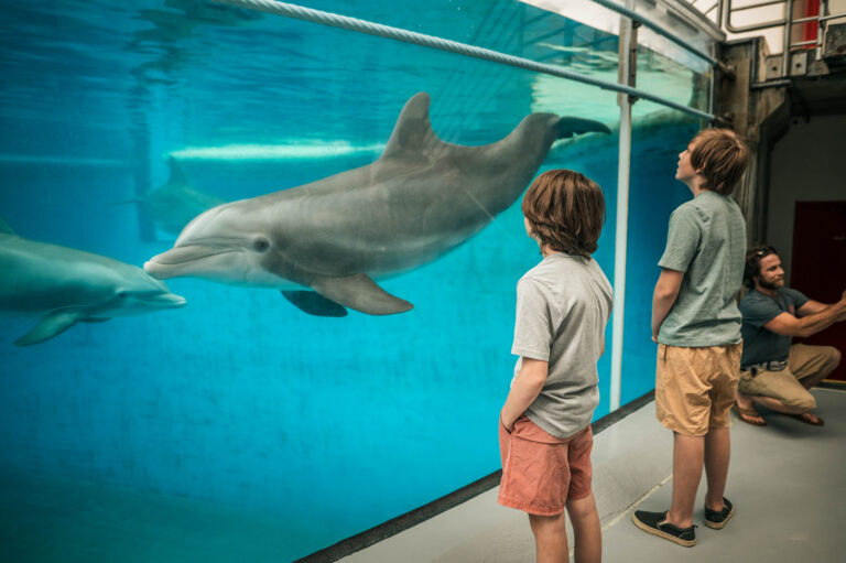 National Aquarium Unit Study