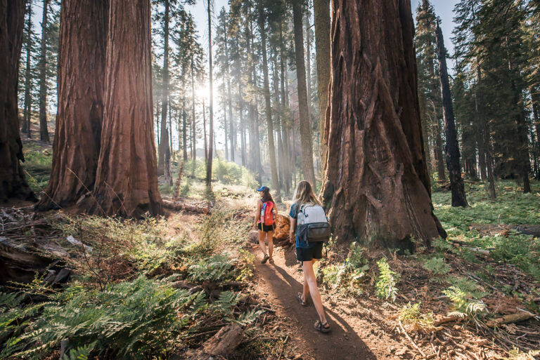 Sequoia and Kings Canyon National Parks: Where to Stay, Where to Play, and What to Eat. 5 day Itinerary for Adventurous Families.
