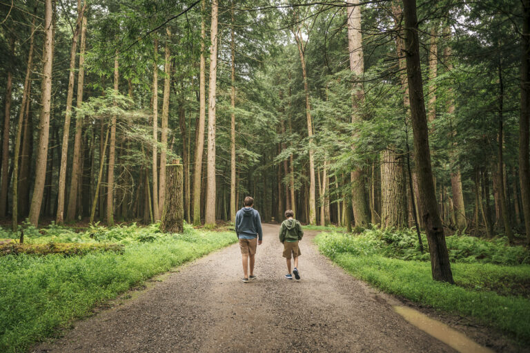 Things to Do in Cook Forest, PA: The Ultimate Weekend Guide